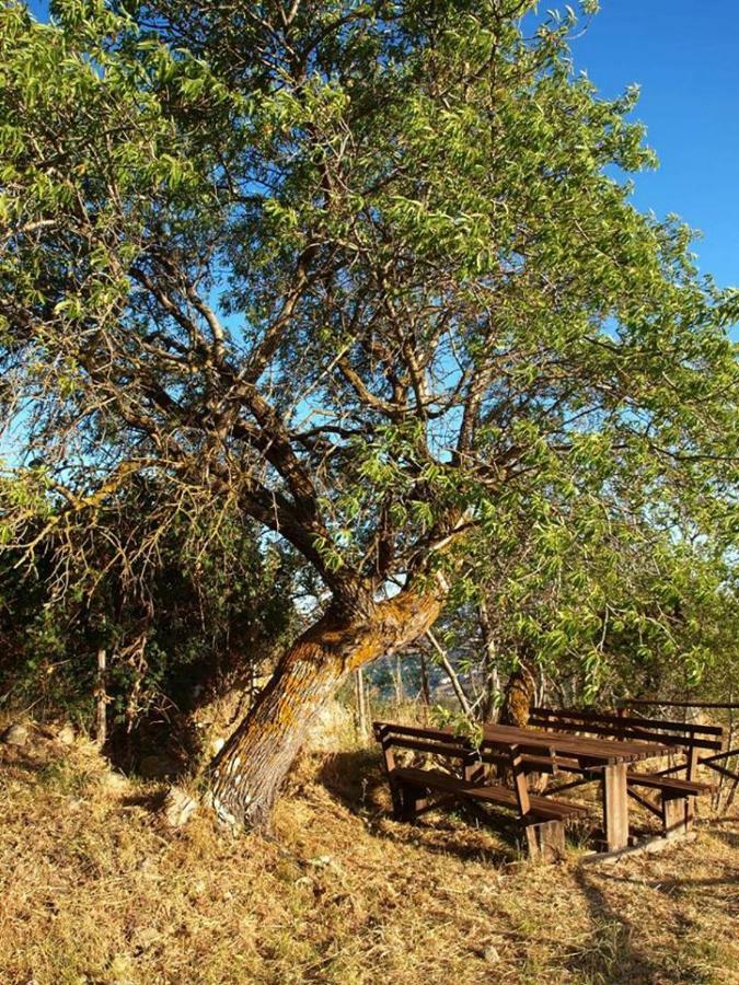 Agriturismo Gelso Castellana Sicula Экстерьер фото